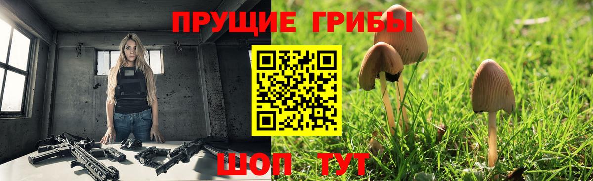 Галлюциногенные грибы Psilocybine cubensis  Вход с VPN  Малоярославец 