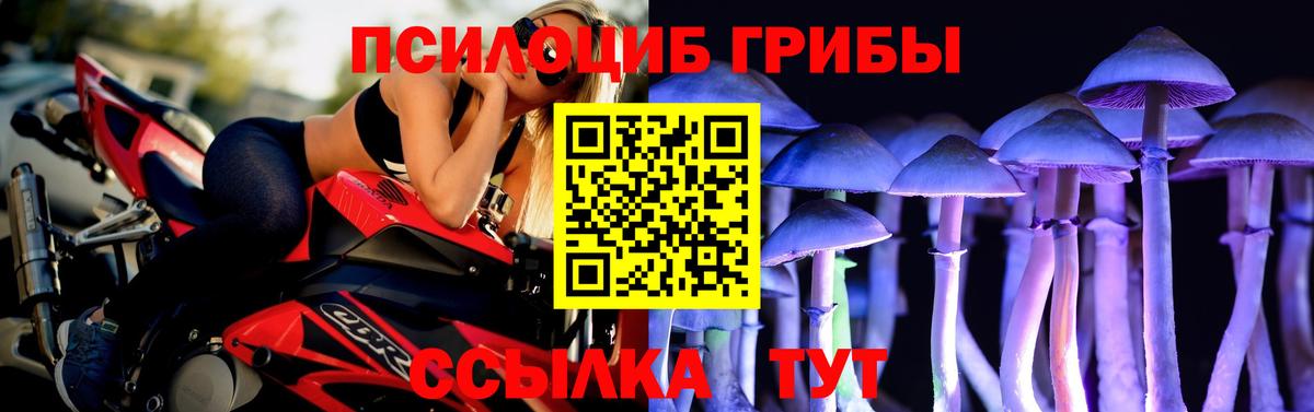 Псилоцибиновые грибы Magic Shrooms Малоярославец